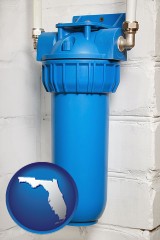 florida map icon and a water treatment filter