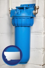 montana map icon and a water treatment filter