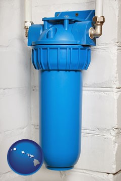 a water treatment filter - with Hawaii icon