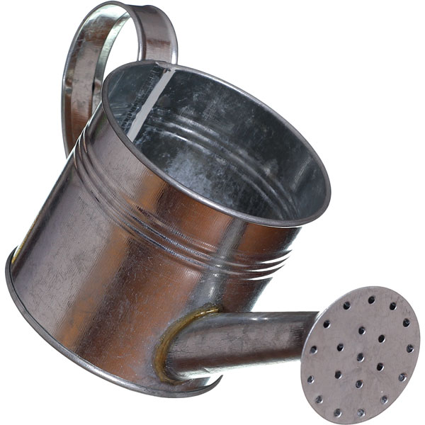 a steel watering can (large image)