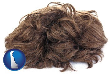 a wig - with Delaware icon