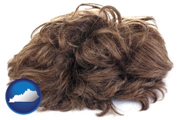 a wig - with Kentucky icon