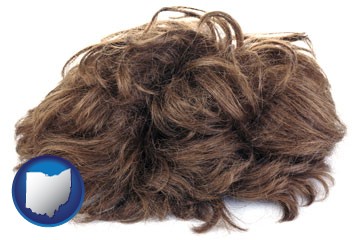 a wig - with Ohio icon
