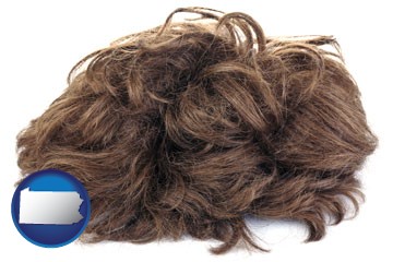 a wig - with Pennsylvania icon