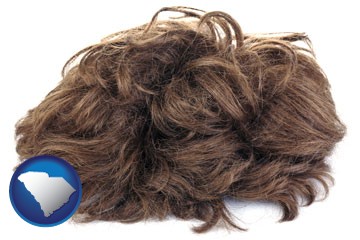 a wig - with South Carolina icon