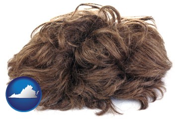 a wig - with Virginia icon