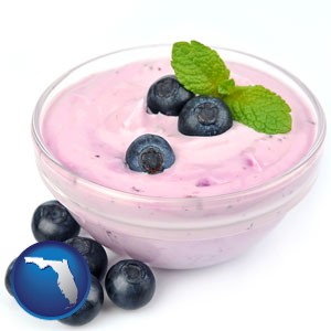 blueberry yogurt with fresh blueberries - with Florida icon