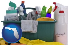 florida map icon and cleaning supplies