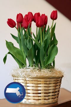a gift basket with red tulips - with Massachusetts icon