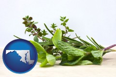 maryland map icon and fresh herbs