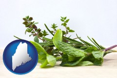 maine map icon and fresh herbs