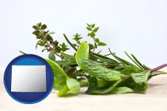 wyoming map icon and fresh herbs