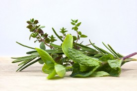 fresh herbs