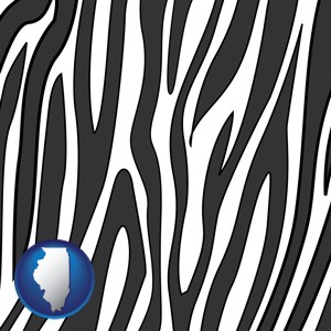 a zebra print - with Illinois icon