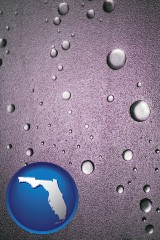 florida map icon and water droplets on a shower door