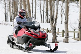 a snowmobile and white birches