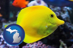 michigan map icon and yello tang saltwater aquarium fish