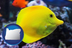 oregon map icon and yello tang saltwater aquarium fish