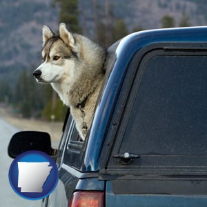 a truck cap and a Siberian husky - with Arkansas icon