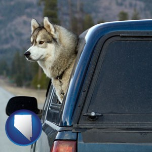 a truck cap and a Siberian husky - with Nevada icon