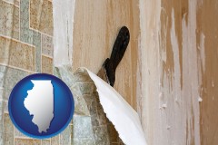 illinois map icon and the wallpaper removal process