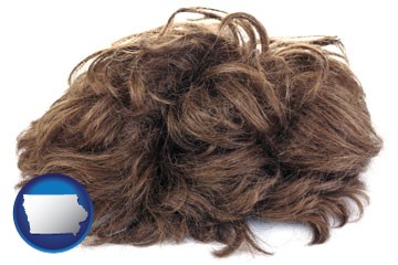 a wig - with Iowa icon